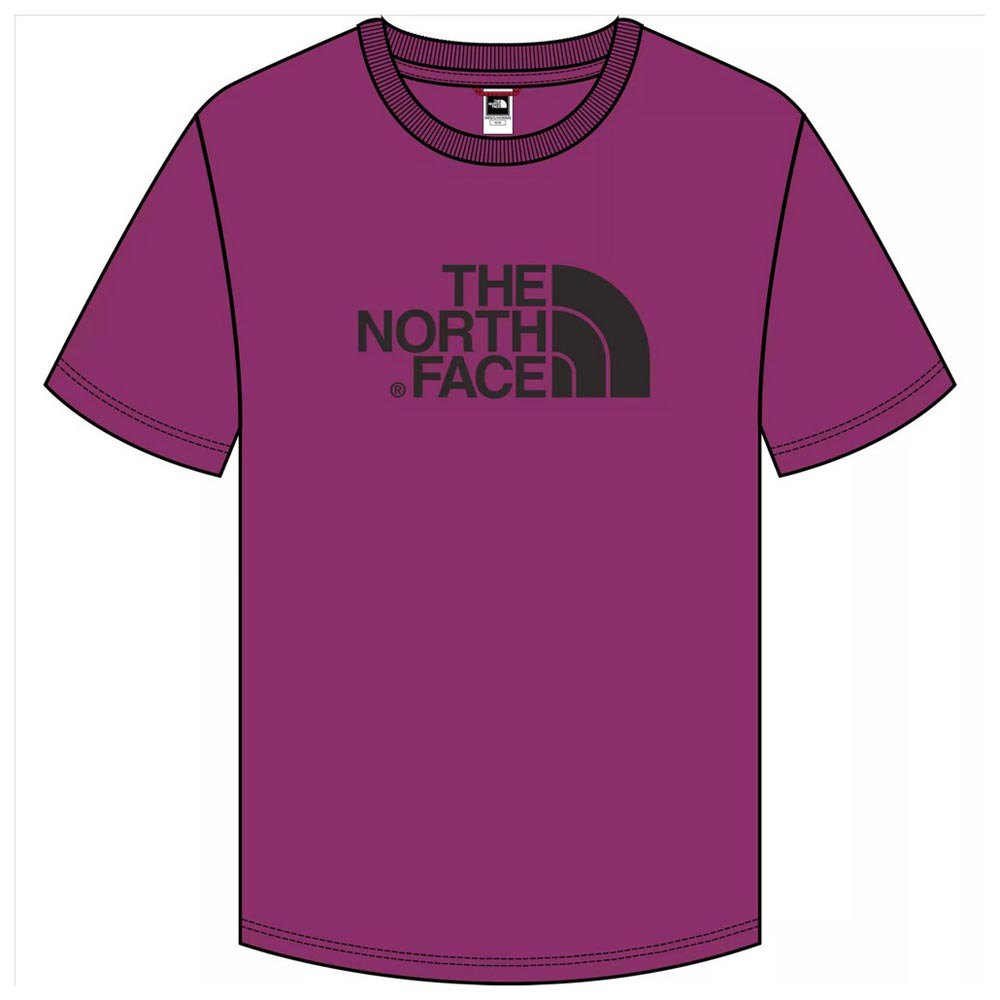 T-shirt męski THE NORTH FACE Easy S/S measy aster1 miniaturka