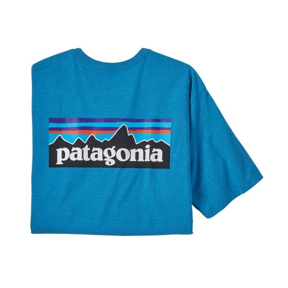 Koszulka męska PATAGONIA P-6 Logo S/S POS WBS22_38504_APBL_wynik miniaturka