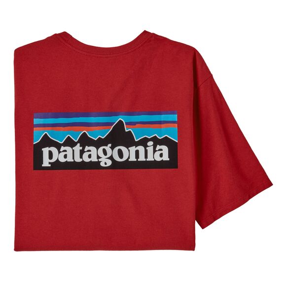 Koszulka męska PATAGONIA P-6 Logo S/S POS WBF22_38504_SUMR miniaturka