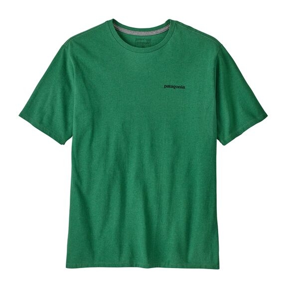 Koszulka męska PATAGONIA P-6 Logo S/S POS WBS25_38504_POHL_ALTFRONT_wynik miniaturka