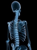 mgr Ewelina Wierzchoń