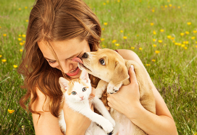 Warto mieć zwierzaka