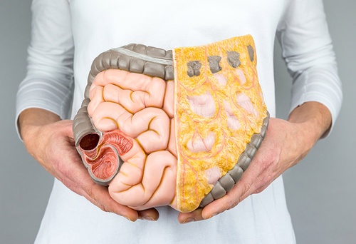 Jelita zapewniają odporność