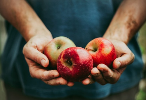 Jedz tylko dojarzałe owoce