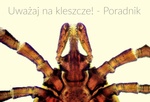 Fot. do artykułu: 'Uważaj na kleszcze! - …'