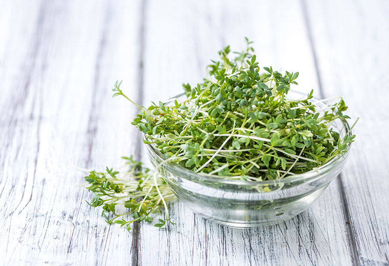 Rzeżucha nie tylko do dekoracji