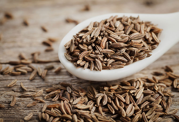 Fot. do artykułu: 'Kminek'