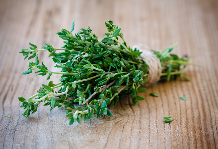 Tymianek - naturalne lekarstwo