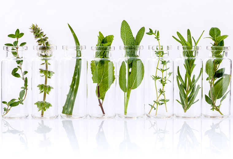 Naturalna antyseptyka