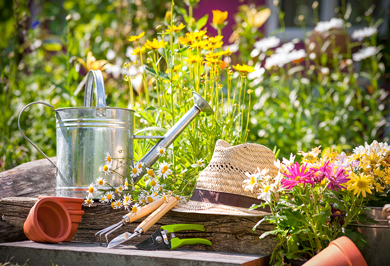 Hortiterapia - lecznicze działanie ogrodów