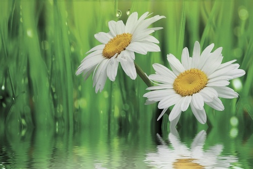 Skuteczne oczyszczenie jelit