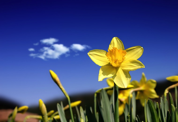 Kilka zasad zdrowej kuchni