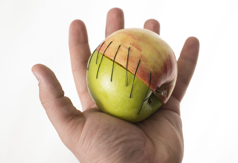 26 stycznia - Dzień Transplantologii