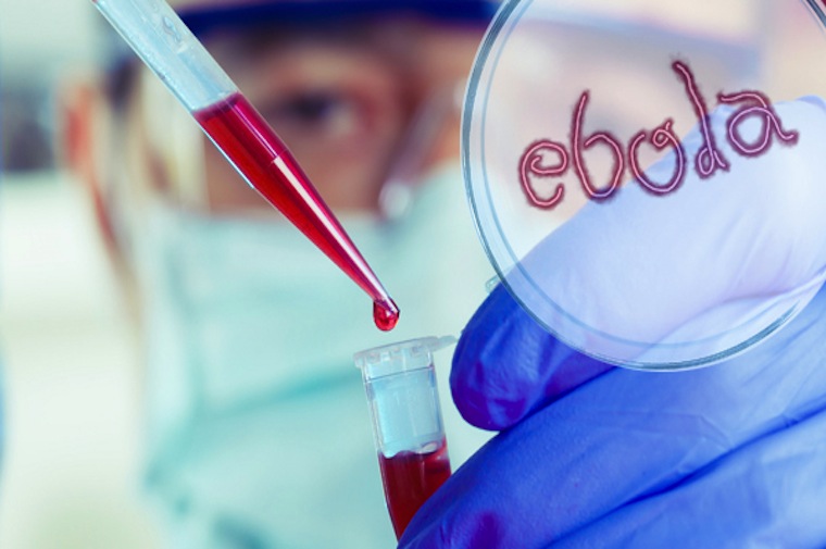 Ebola – rozpowszechnione kłamstwo