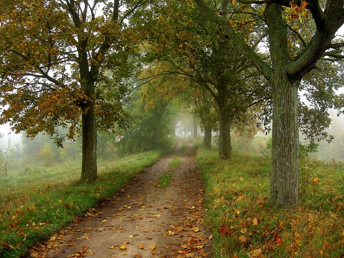 Zrób coś nowego! Poszerz tym samym strefę komfortu.