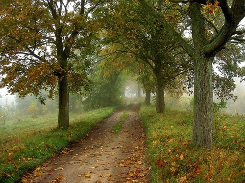 Zrób coś nowego! Poszerz …