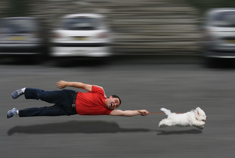 Zwierzęta w domu. Czy warto je mieć?