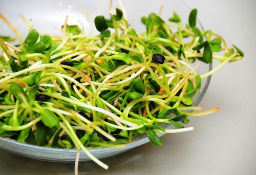 Kiełki. Poznaj ich wartość! …