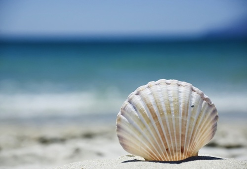 O złości i Żywej …