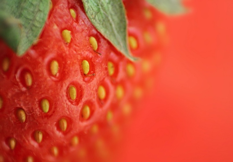 Suplementy syntetyczne, a naturalne? Tabletka, czy dieta?