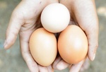Fot. do artykułu: 'Ile jajek dziennie?'