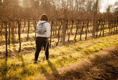 Nordic Walking - sposób …