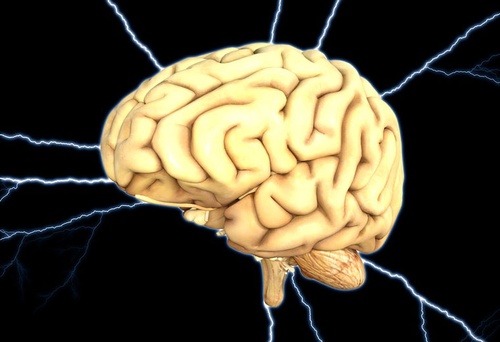 Szyszynka - mały gruczoł, …