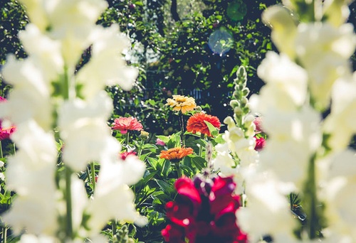 W wakacje nie zapominaj …