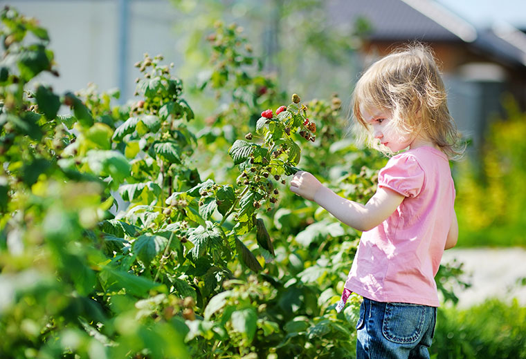 Rośliny i dzieci – czy to dobry duet?