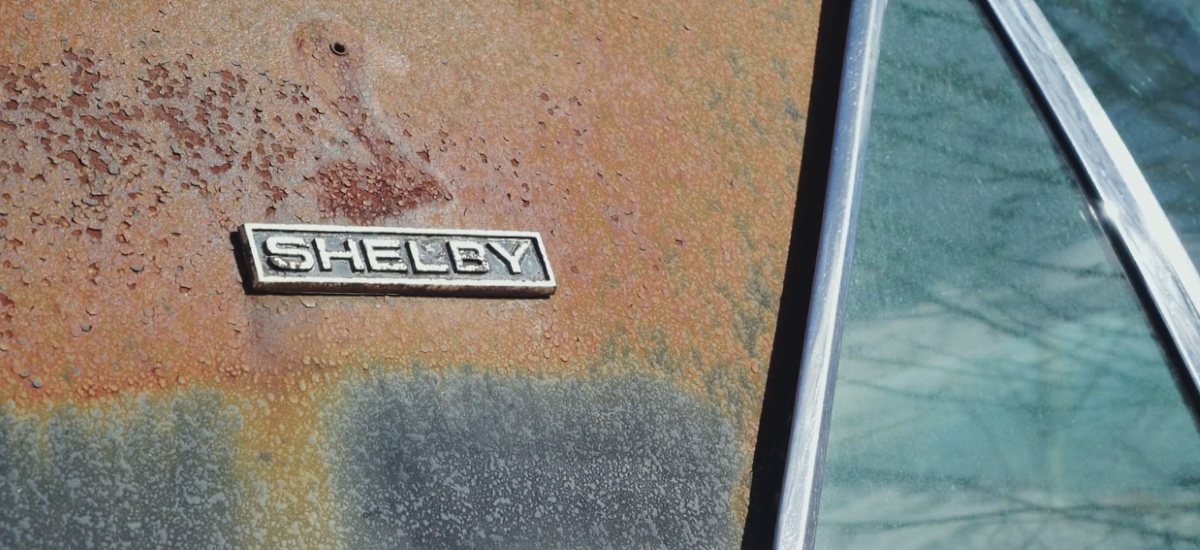 Super-rzadki Ford Shelby GT500 odnaleziony