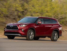 Toyota ma specjalną usługę dla wegan, która pokaże im gdzie są pierożki