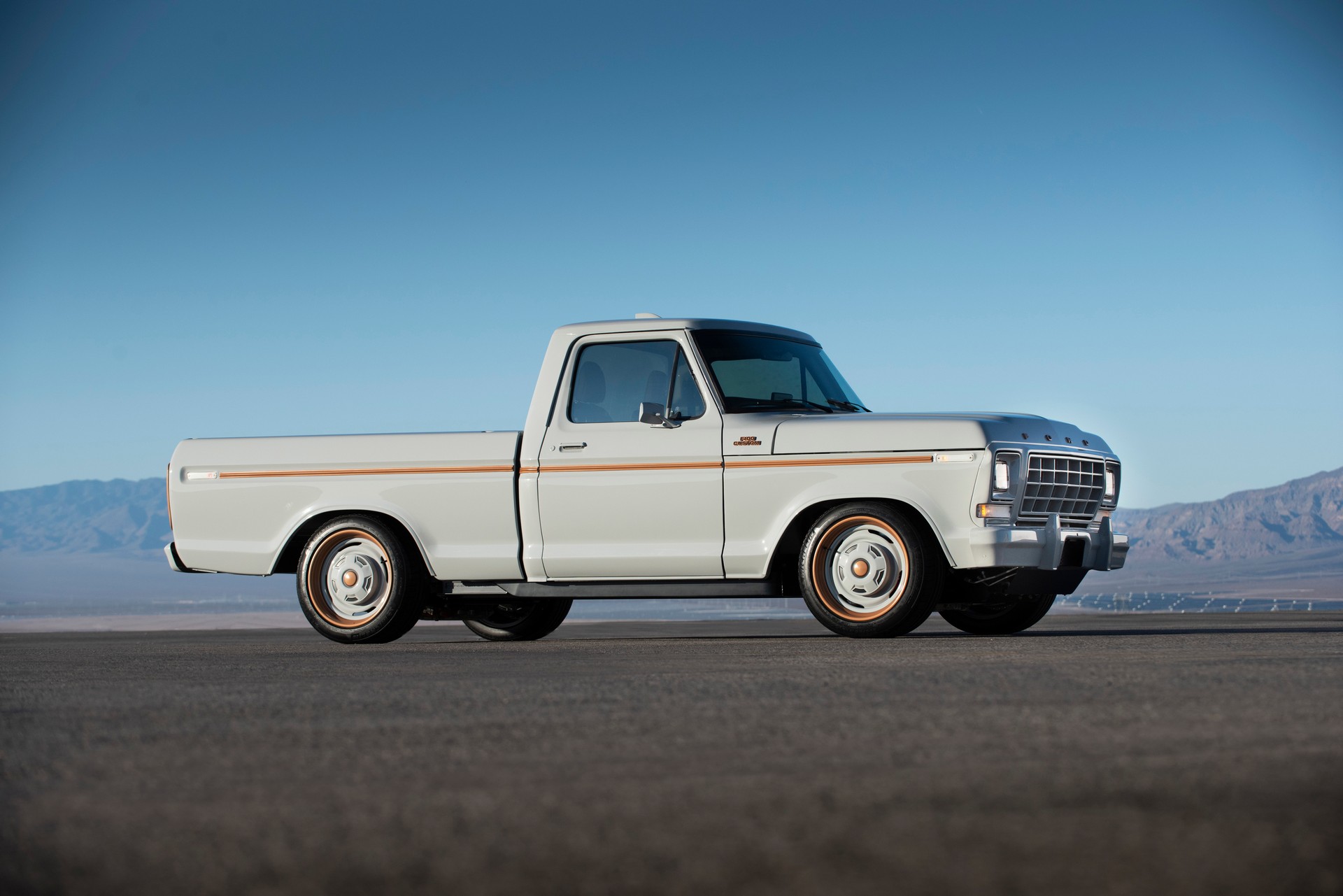 Ford F-100 Eluminator