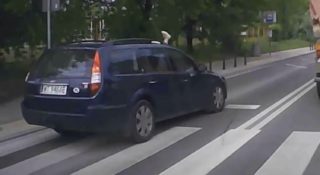 potrącenie na pasach