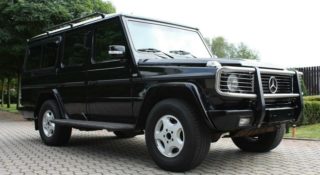 mercedes borysa jelcyna