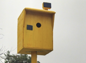 fotoradar żółta budka dla ptaków