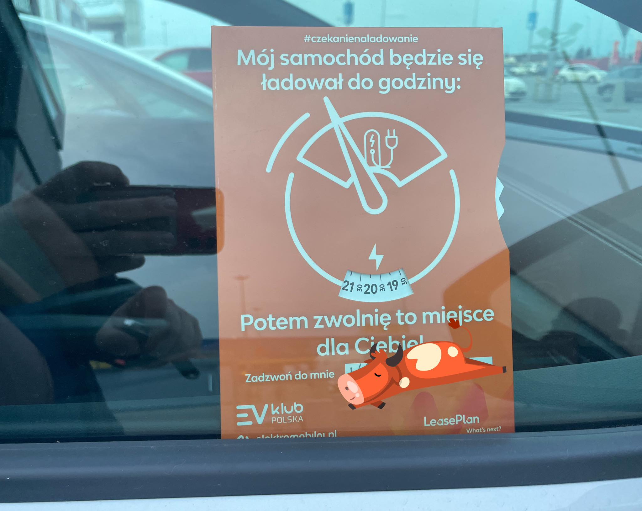 kierowcy aut elektrycznych