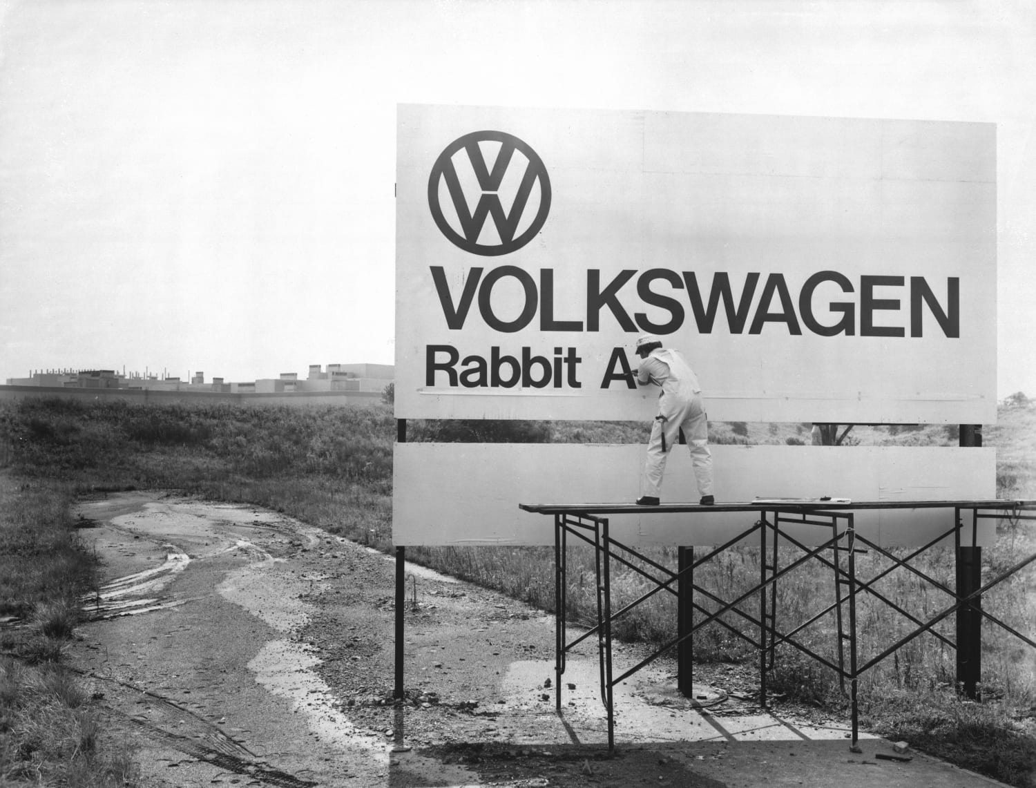 Rabbit