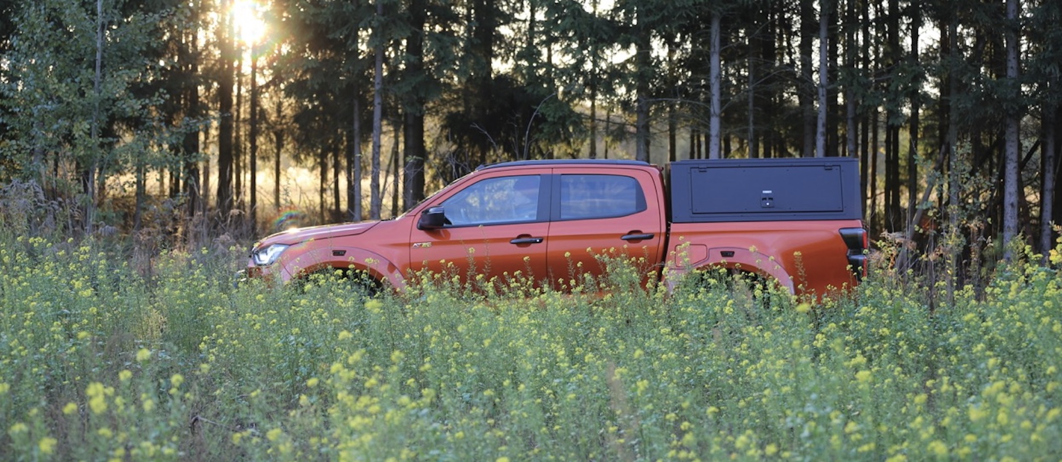 Isuzu D-Max pickup