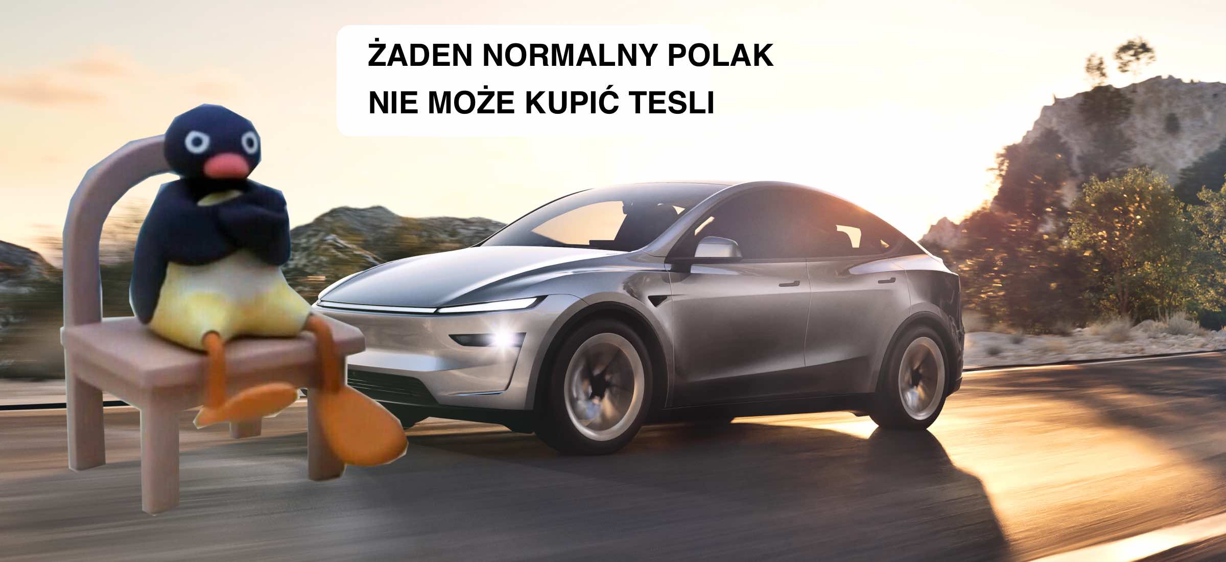 Polski polityk zakazuje kupować samochody Tesla. Czekam aż odkryje markę Volkswagen