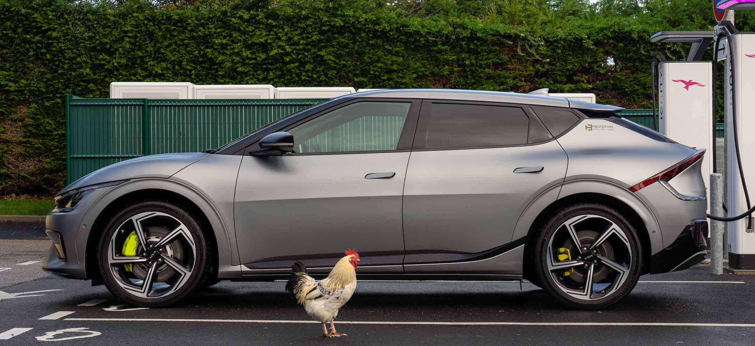 Dealerzy marzą, by sprzedać wam te auta bardzo tanio. Od dwóch lat grzeją podłogę w salonie