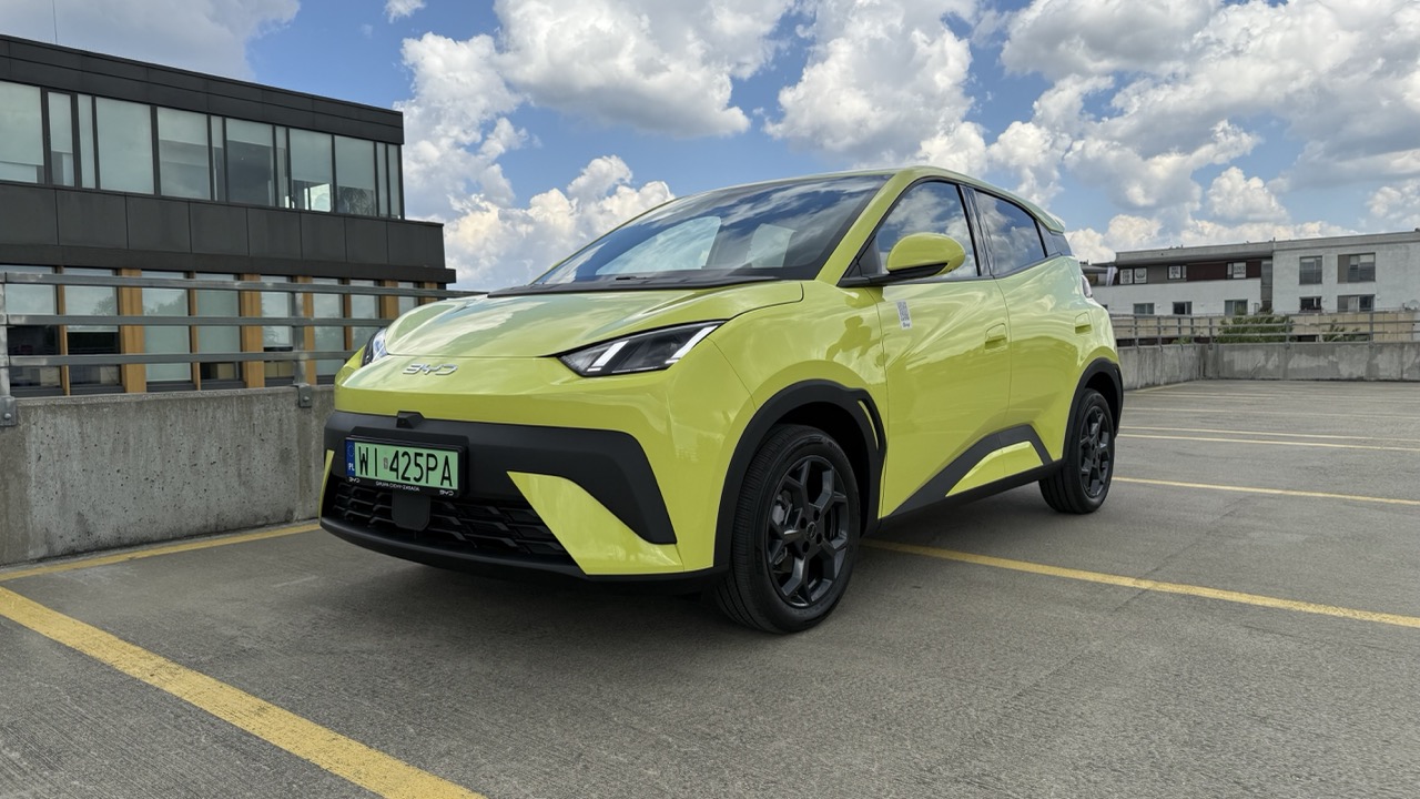 BYD Doplhin surf cena polska