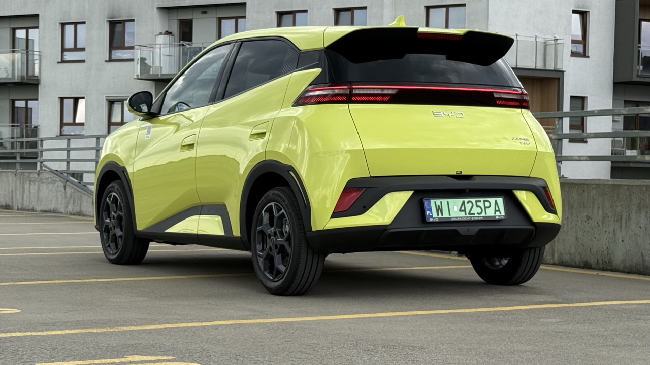 BYD Doplhin surf cena polska