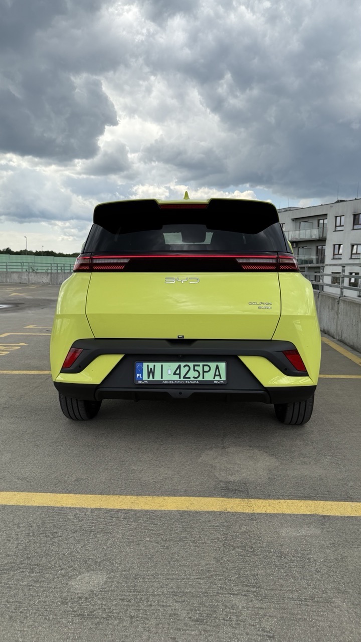 BYD Dolphin Surf