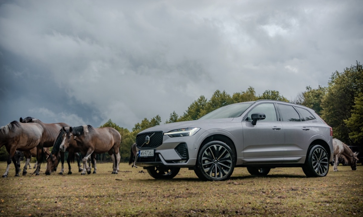 Krótki poradnik rozpoznawania nowego Volvo XC60 oraz konie w tle. To samo kopyto