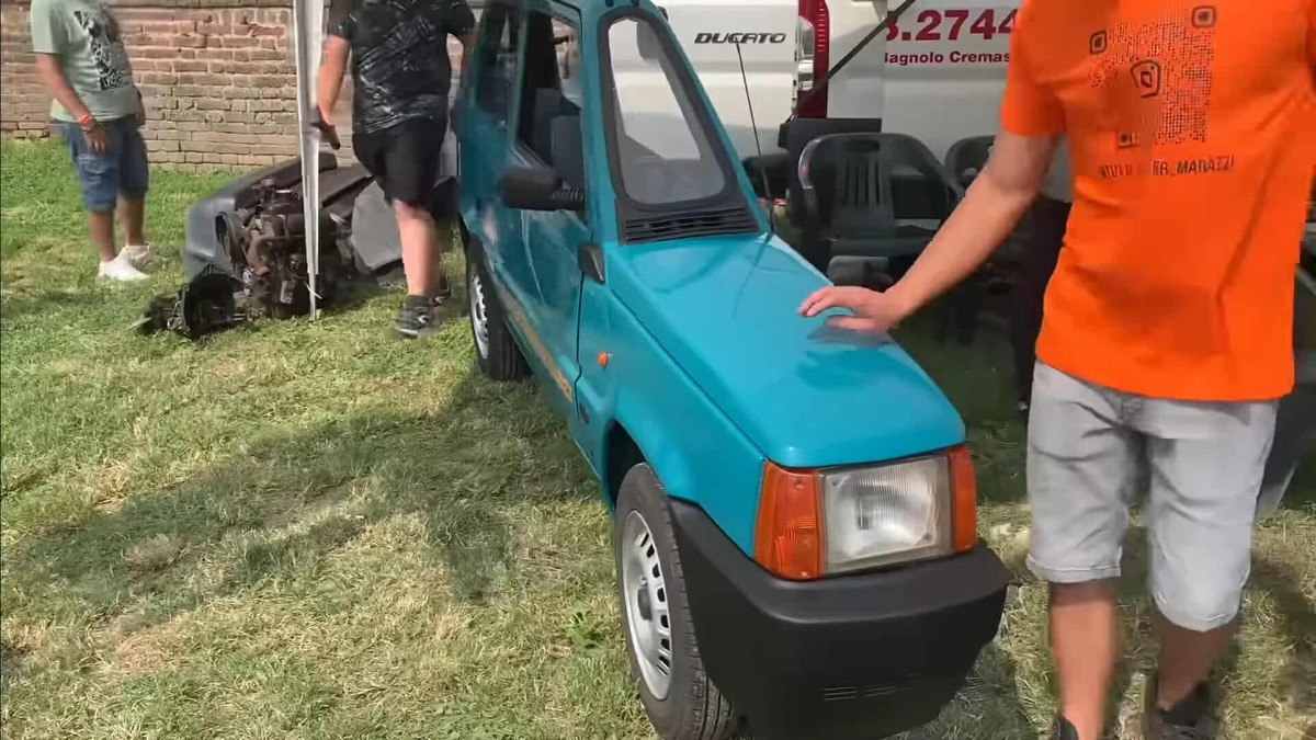 Wąska Panda