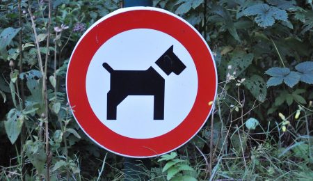Zakaz wprowadzania psów jest nielegalny. Z psami można dowolnie korzystać z przestrzeni publicznej