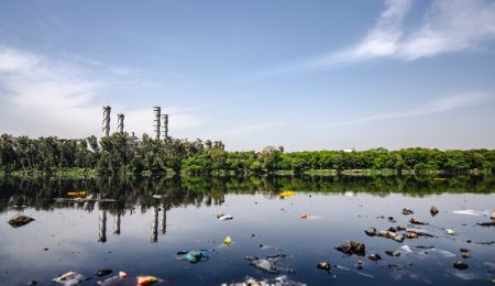 Mieszkańcy Płocka, Włocławka i innych miast mogą czuć się bezpiecznie, chociaż awaria oczyszczalni ścieków „Czajka” to i tak katastrofa ekologiczna