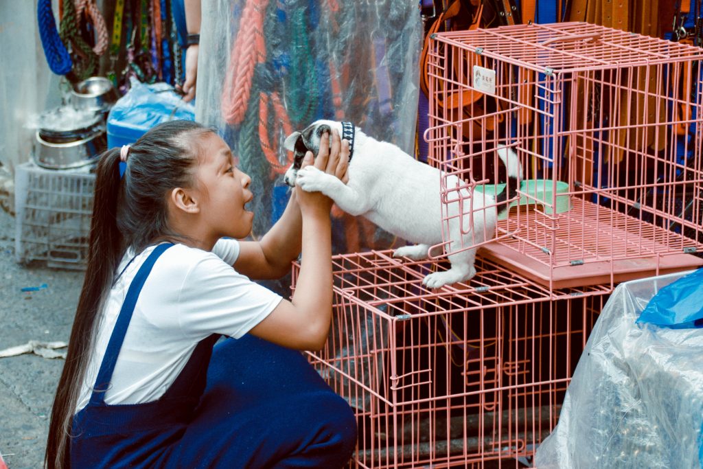 Epidemia koronawirusa zmusiła Chiny do walki z wiekową tradycją – władze wreszcie wprowadziły zakaz jedzenia dzikich zwierząt i handlu nimi