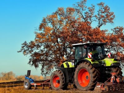 Polacy pozywają Skarb Państwa za zmiany klimatu. „Mam trzy stawy, wszystkie są suche”