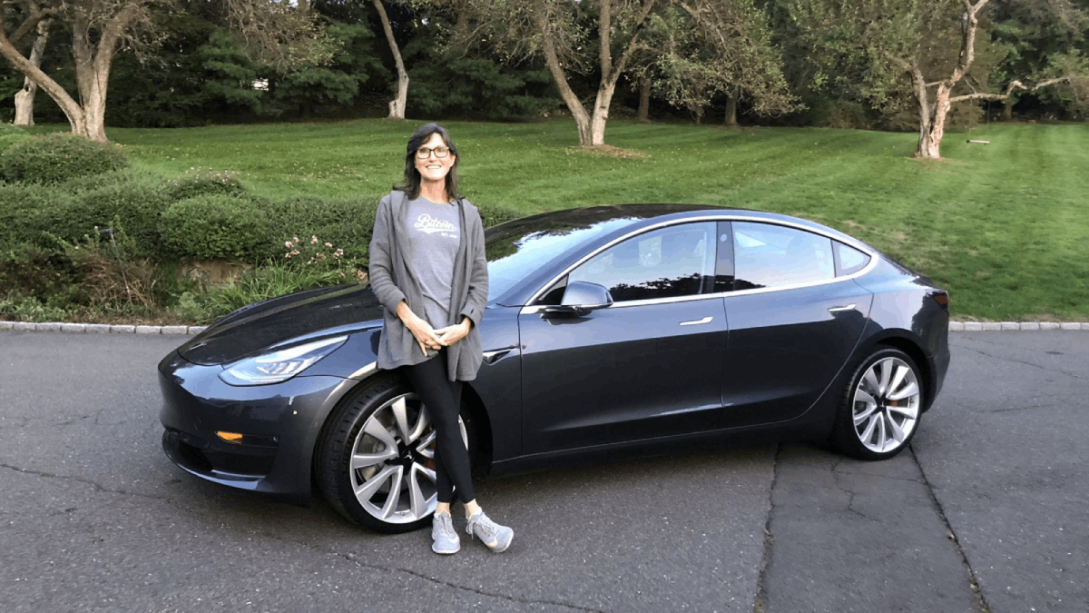 cathie wood tesla